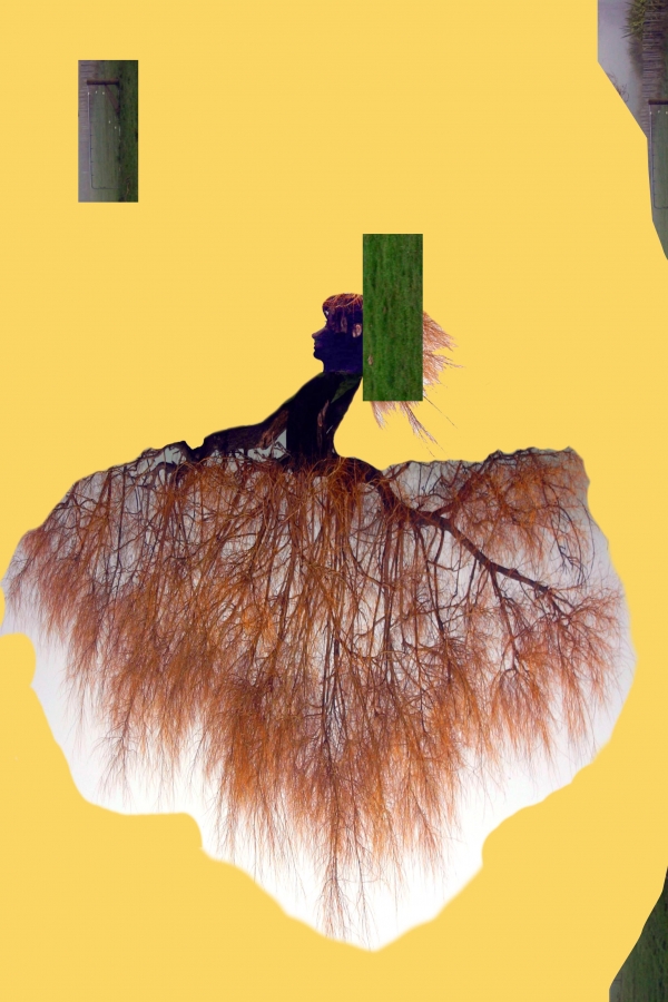 Creation of Lady (in)... green: Step 4